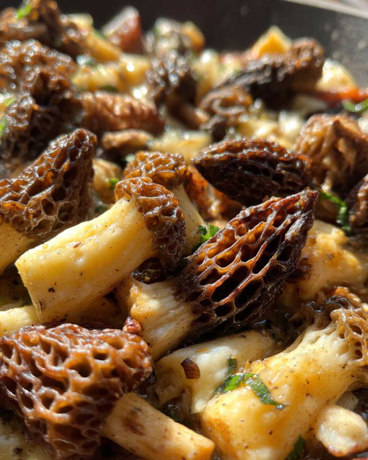Morel Mushroom Recipes - detail 2
