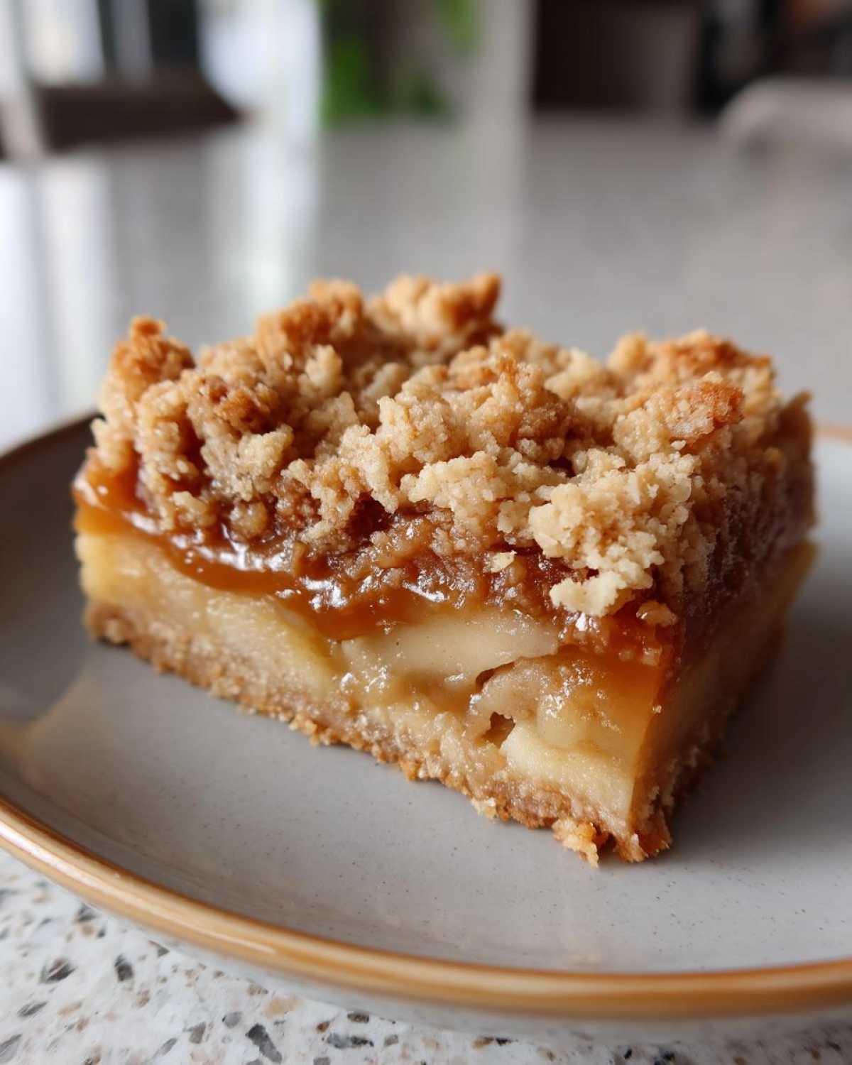 Salted Caramel Apple Crumble Bars Fall Treat - detail 1
