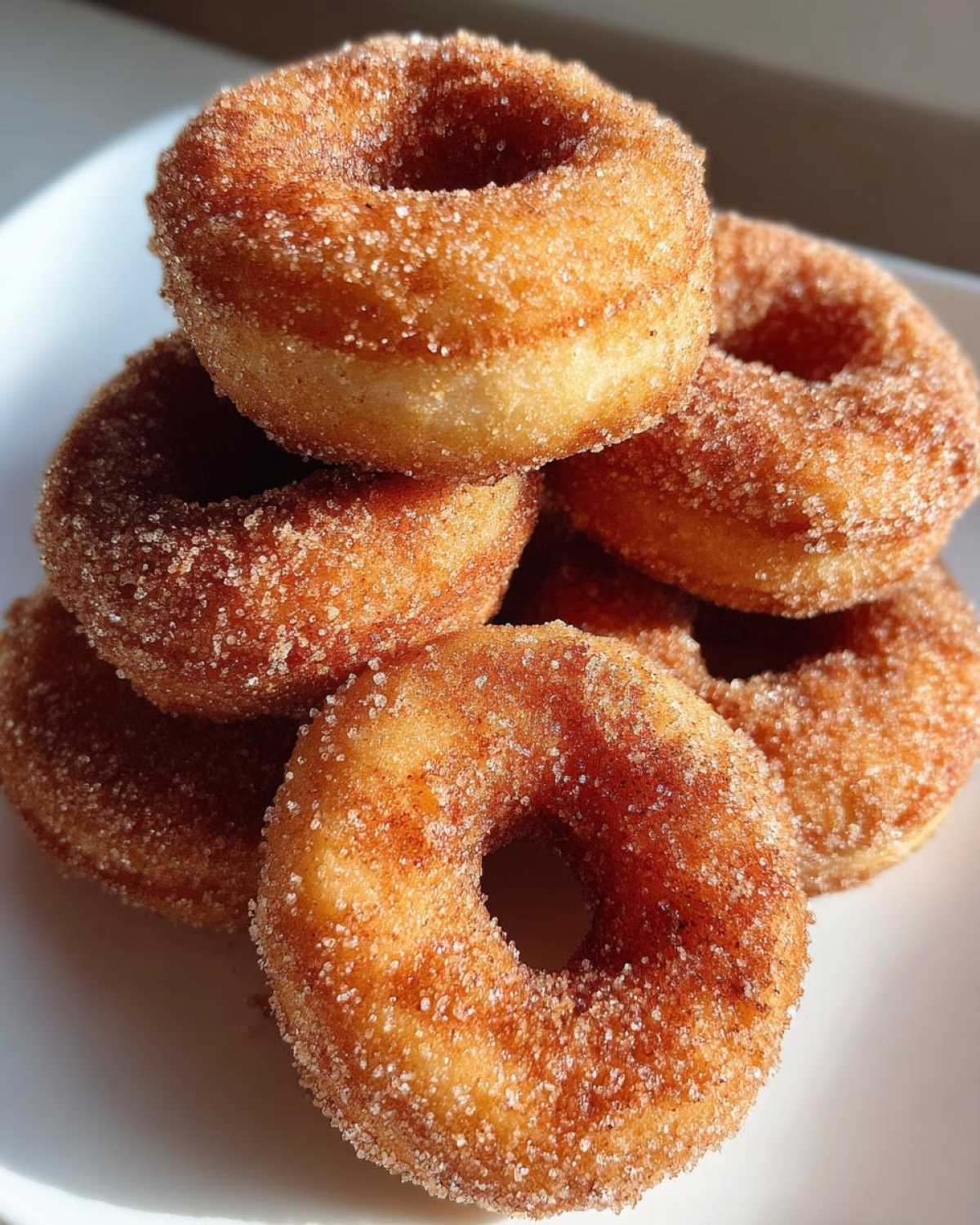 Apple Cider Donuts - detail 4