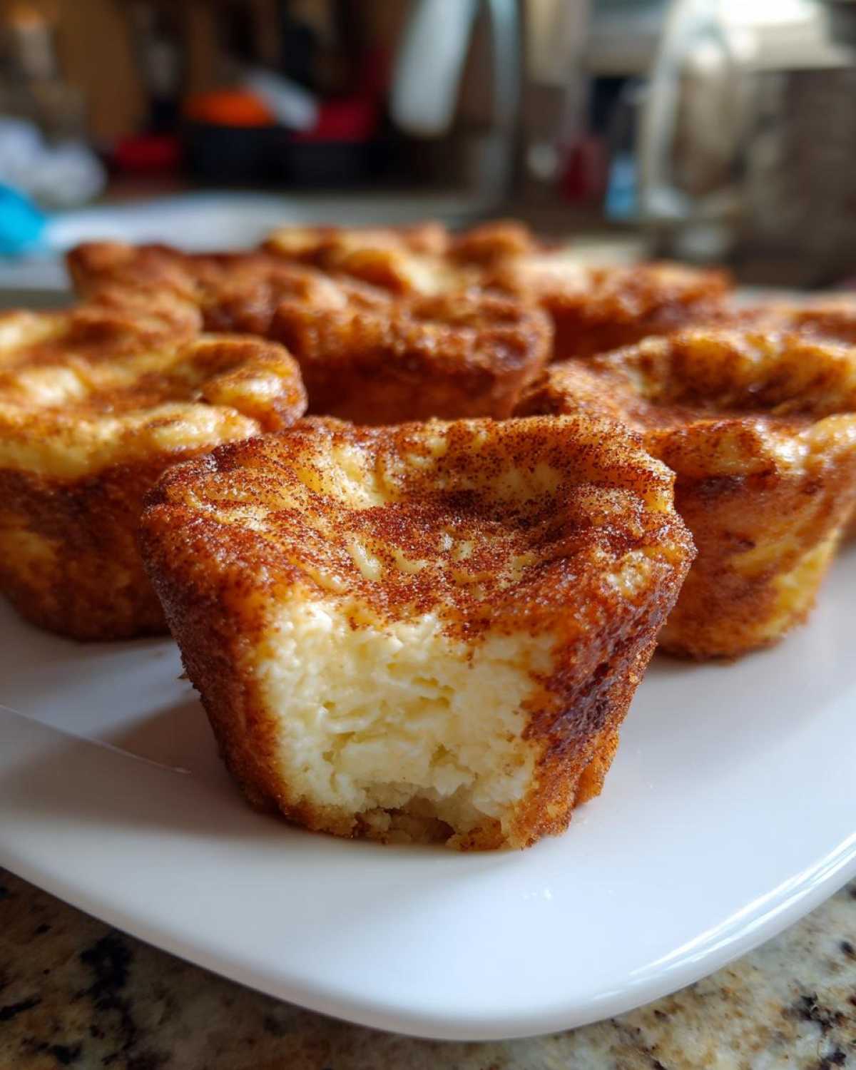Churro Cheesecake Bites (2-Bite Delight) - detail 3