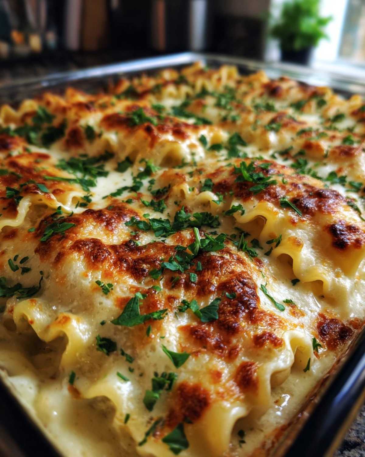 Creamy Alfredo Lasagna Roll Ups - detail 1