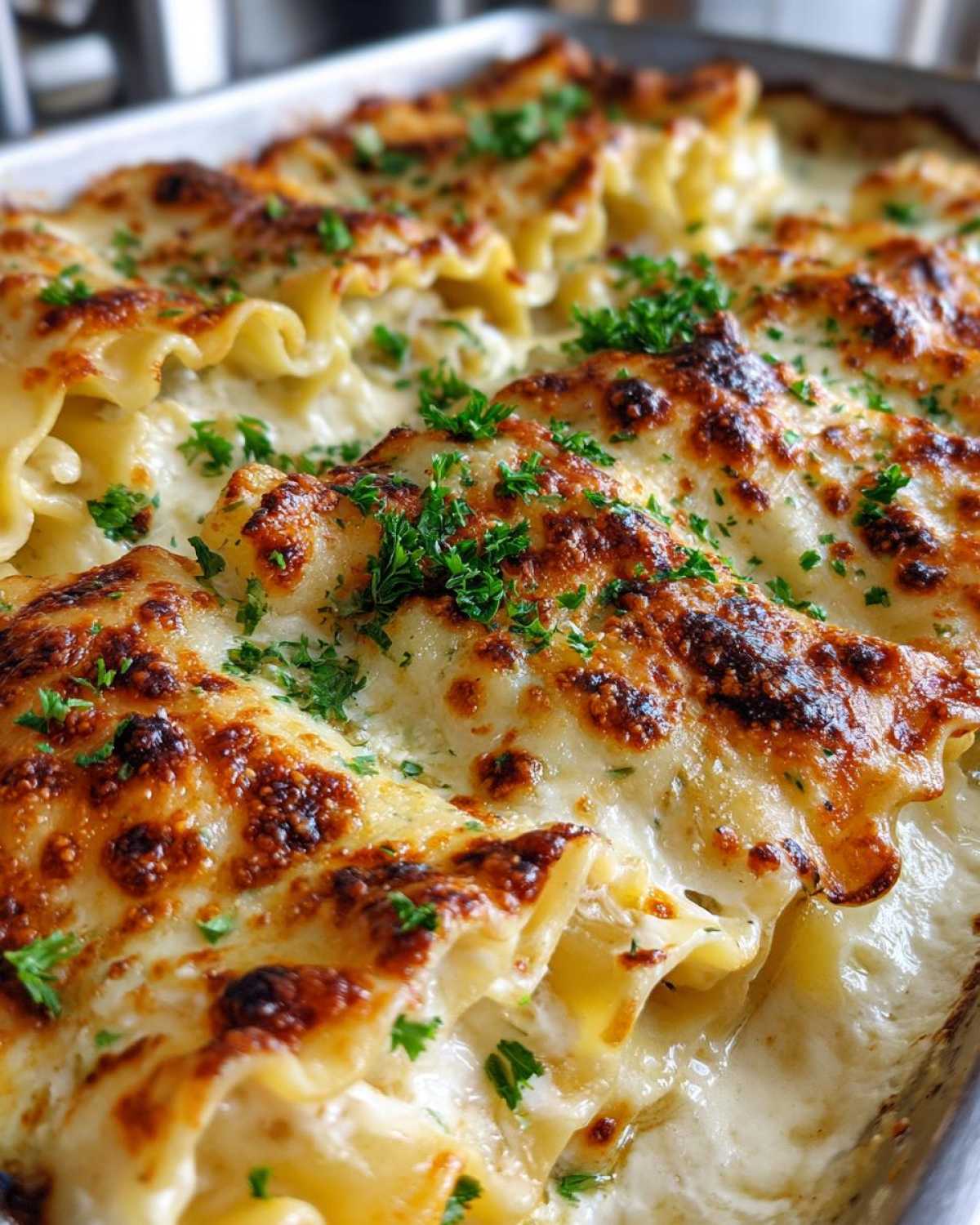 Creamy Alfredo Lasagna Roll Ups - detail 4