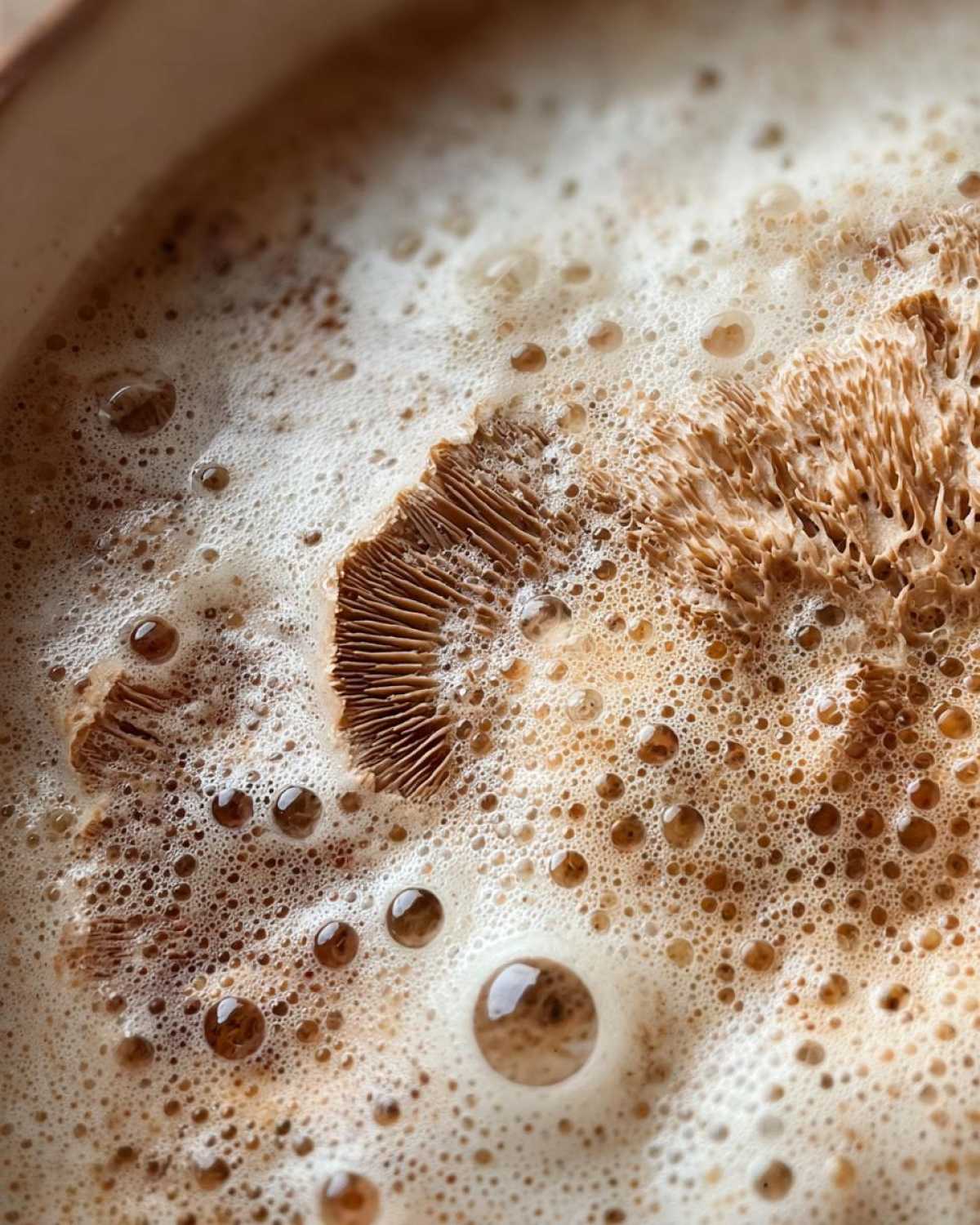 Creamy Mushroom Soup - detail 3