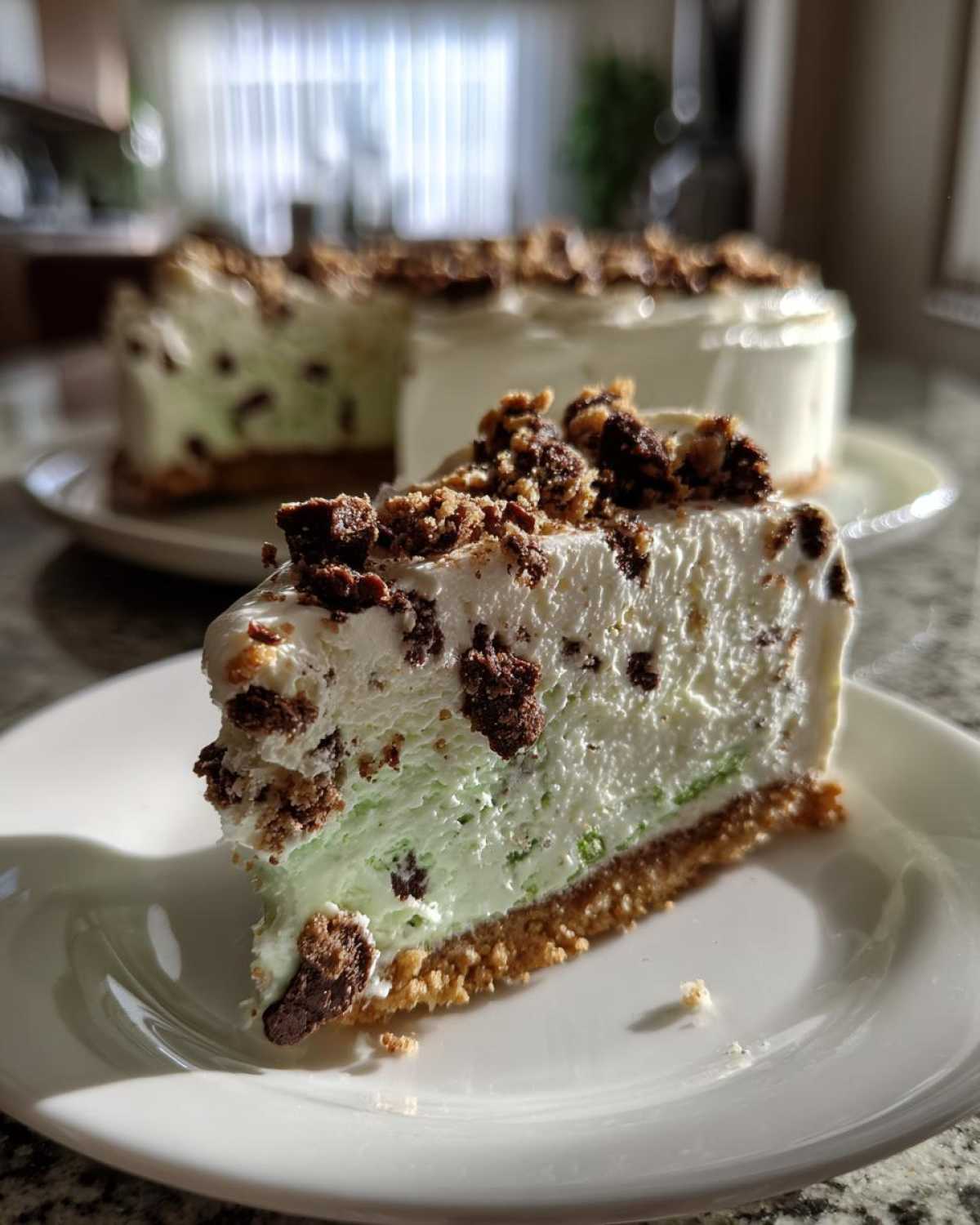 Mint Chocolate Chip Ice Cream Cake (No-Churn Recipe) - detail 1