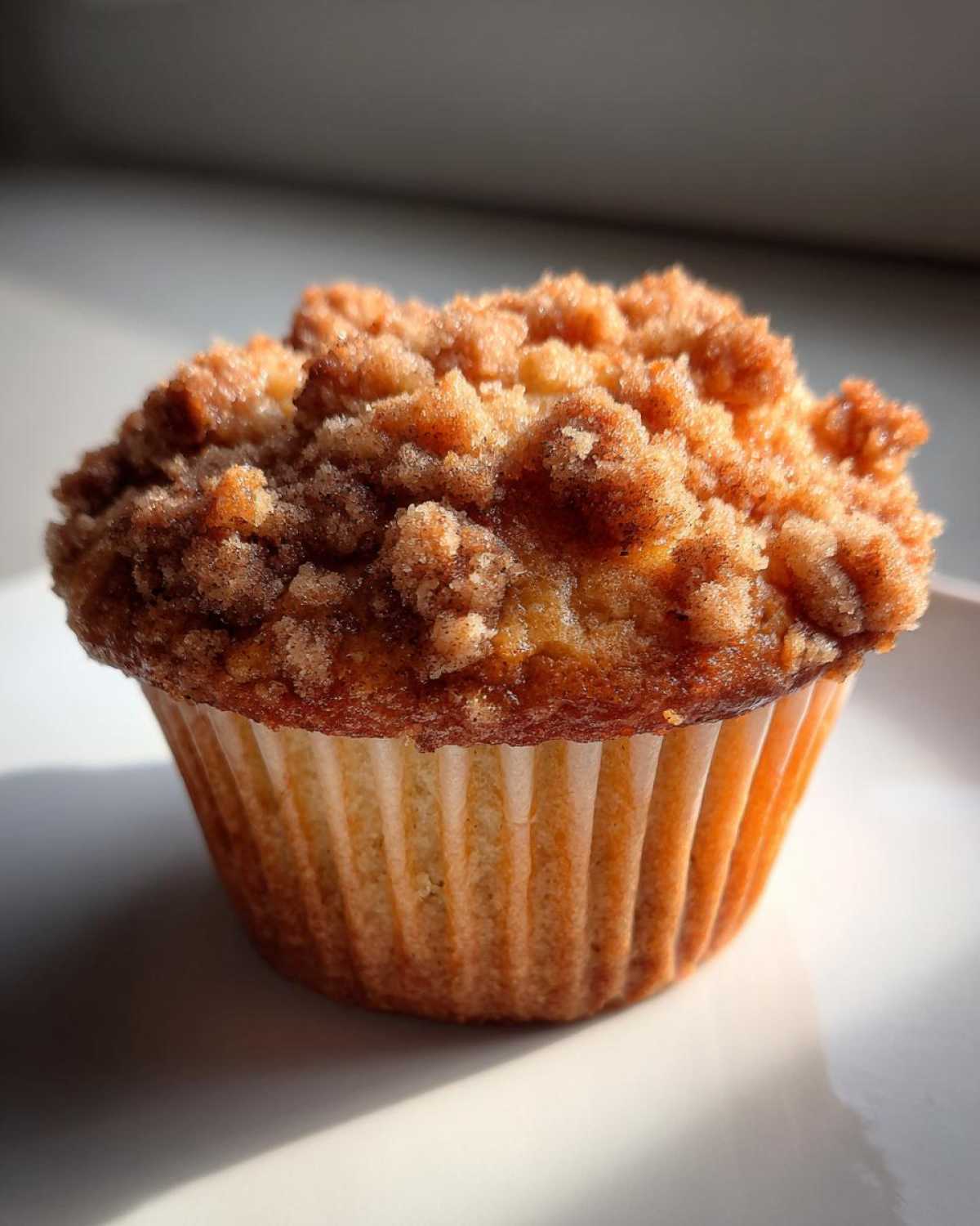 Apple Cinnamon Streusel Muffins - detail 2