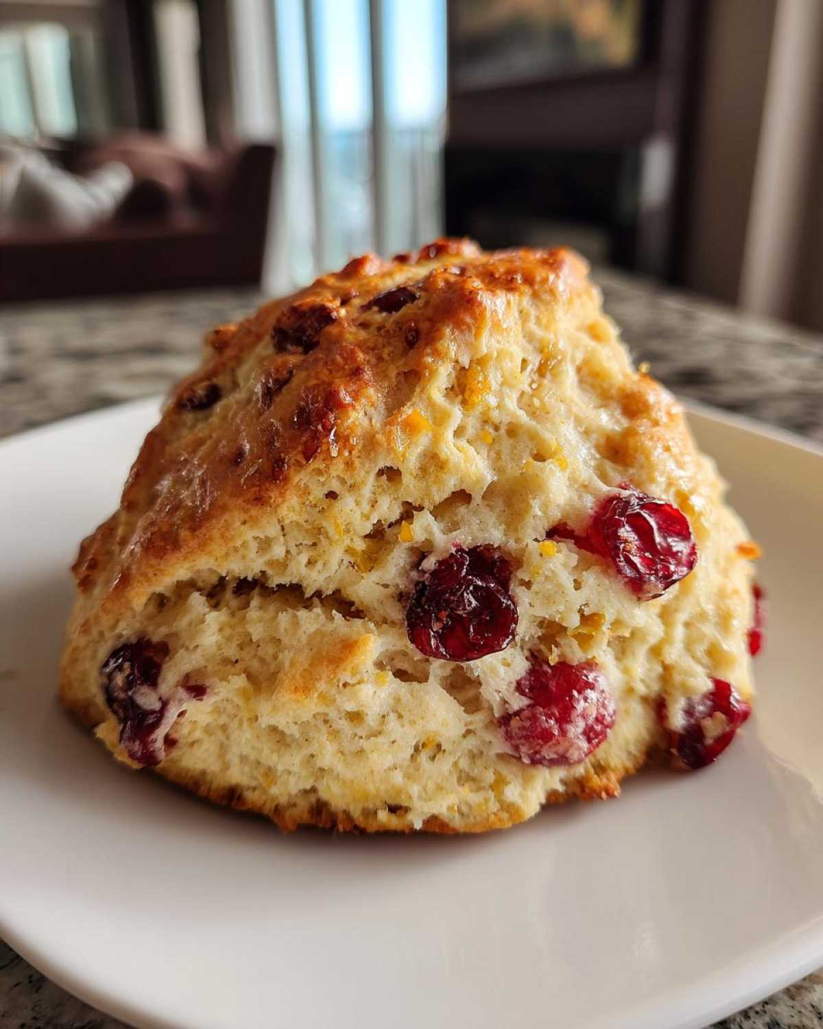 Cranberry Orange Scones (Quick 30-Minute Bake) - detail 2
