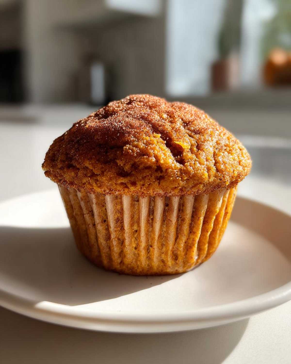 Vegan pumpkin muffins - detail 3
