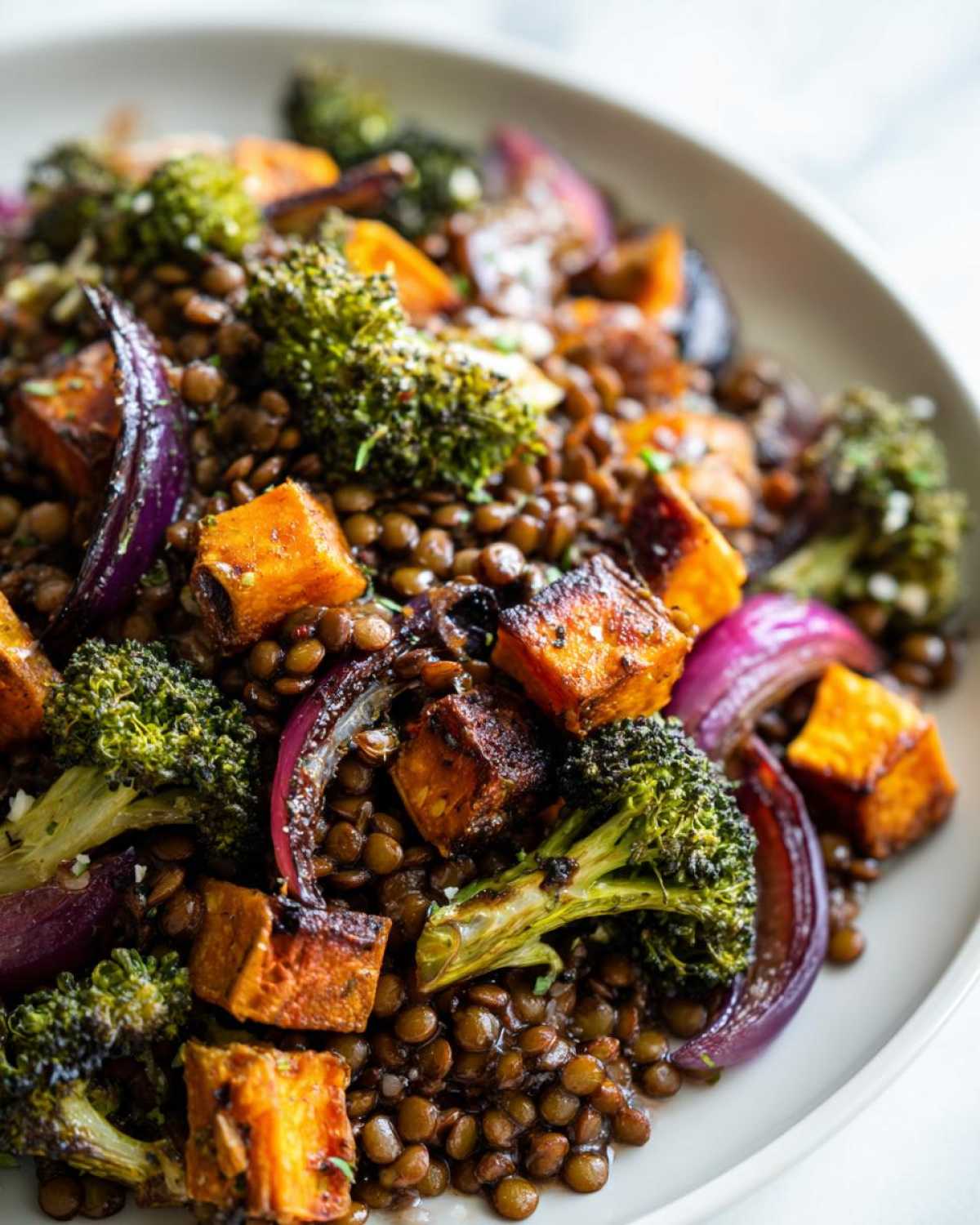 Close-up of a hearty veggie lentil salad featuring roasted sweet potatoes, charred broccoli florets, and red onion.