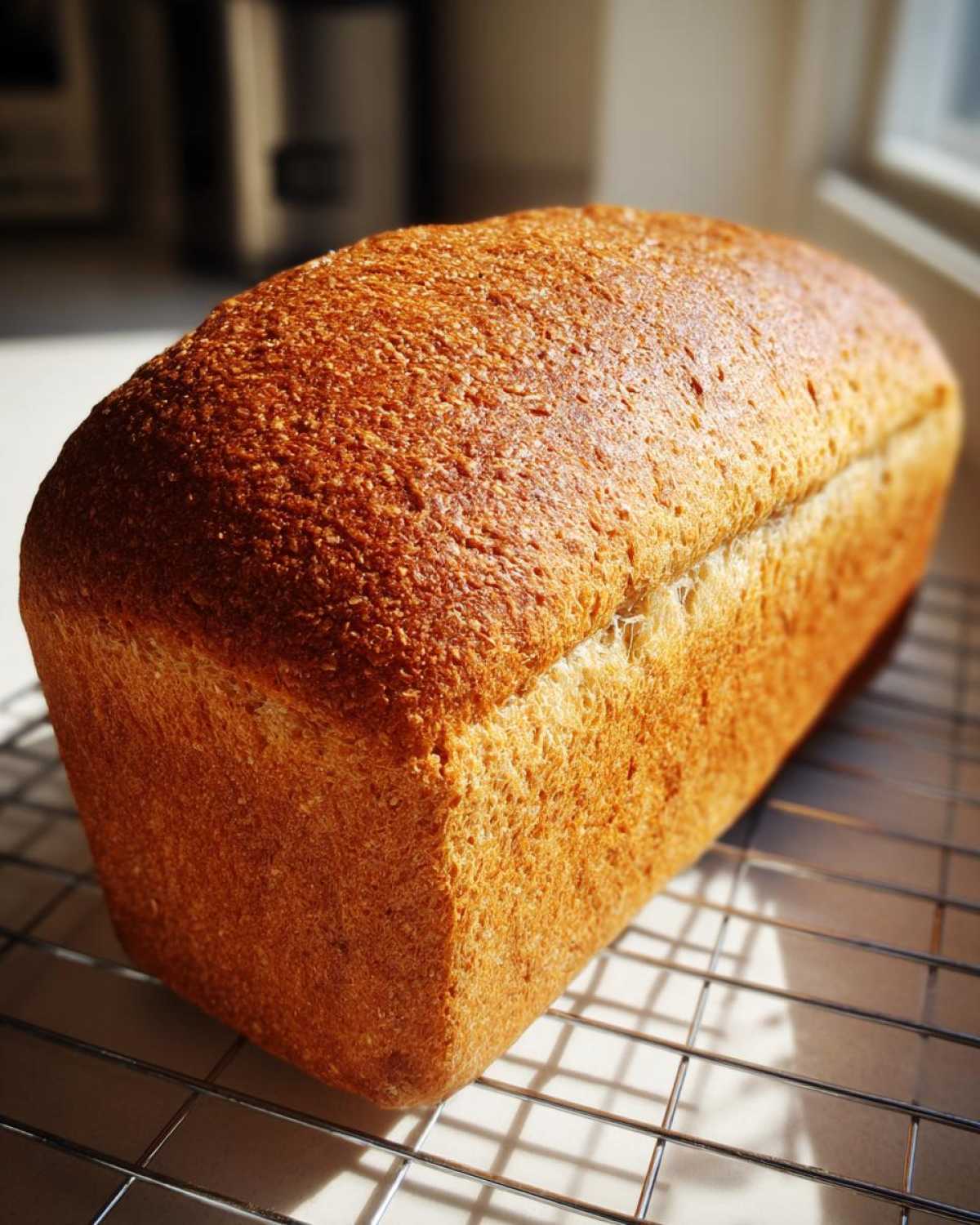 A golden brown, perfectly baked whole wheat bread loaf cooling on a wire rack in bright sunlight.