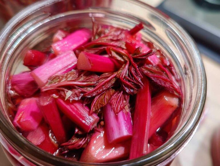 Close-up view inside a glass jar showing vibrant pink and red stalks of Pickled Rhubarb with Red Shiso submerged in liquid.