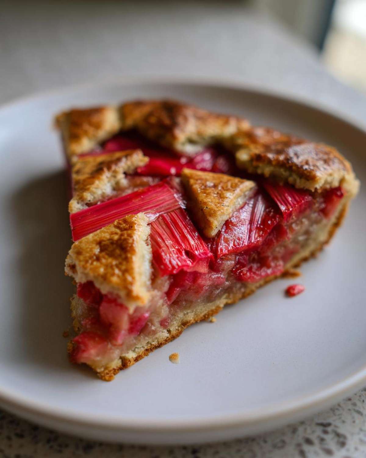 Close-up of a single slice of Rustic Geometric Rhubarb Galette showing bright red rhubarb filling and golden crust.
