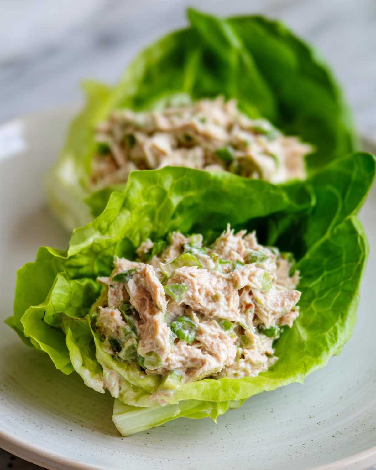 Two servings of creamy tuna salad served in crisp lettuce cups, demonstrating an Easy Easiest Way Eat Healthy lunch.